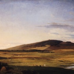 Zealand Landscape